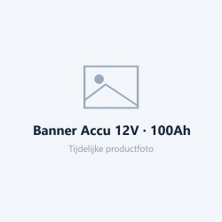 Banner Accu 12V · 100Ah